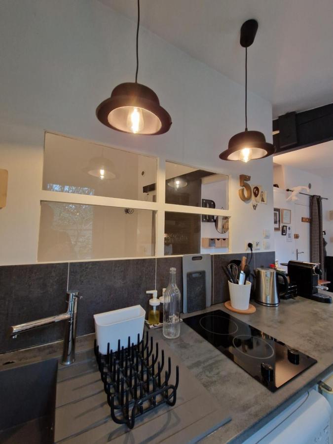 Albin Le Musicien Apartment *